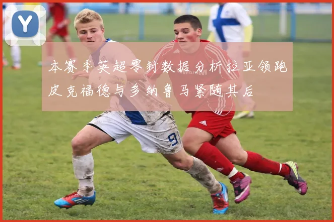 本赛季英超零封数据分析拉亚领跑皮克福德与多纳鲁马紧随其后